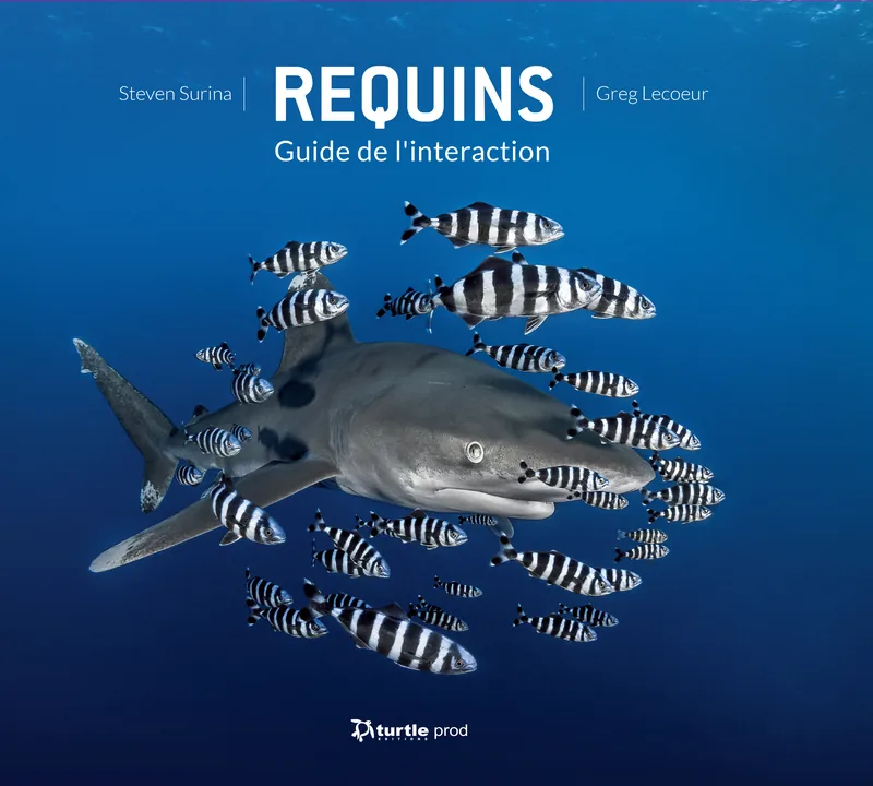 Guide de l'interaction requin